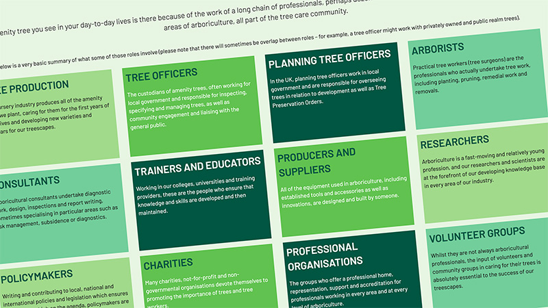 What is Arboriculture?